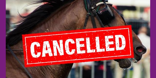paardenkoers cancelled