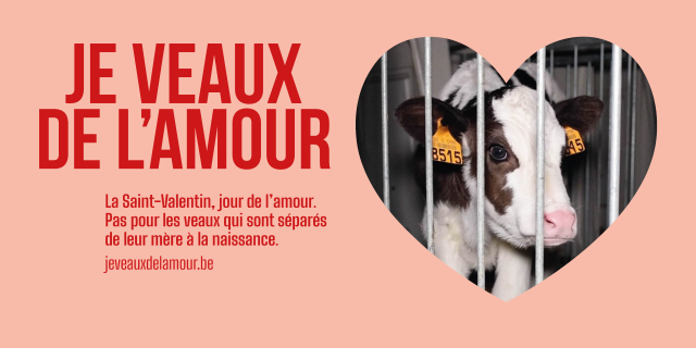 Je veaux de l'amour