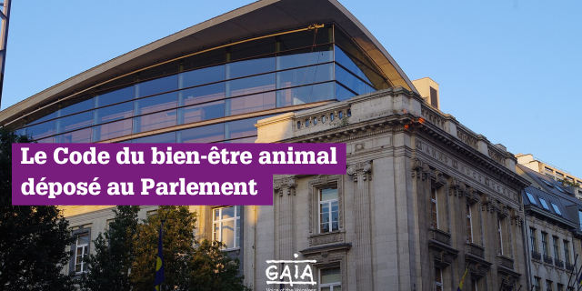 Parlement bruxellois 