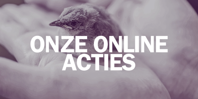onlineacties