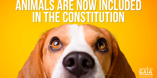 Animals are now included in the Constitution