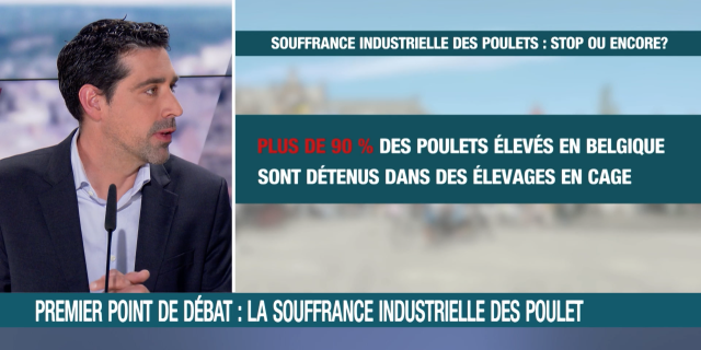 video thumbnail Playing in picture-in-picture Like  Add to Watch Later  Add to collections  Share   Play 00:00 47:53   CC/Subtitles  Transcript  Settings  AirPlay  Picture-in-Picture  Fullscreen LN24 - On saura tout - Bien-être animal : un enjeu électoral (29/05/2024)