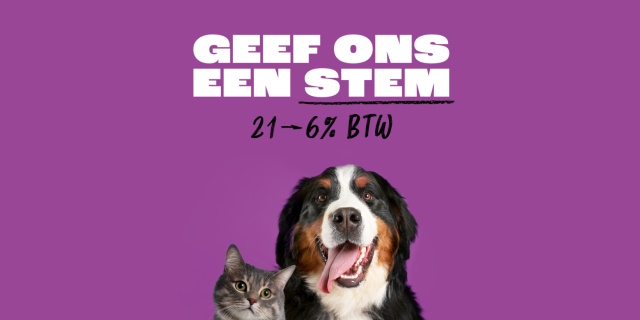 stem