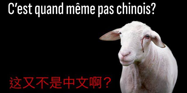 abattage - c'est quand même pas chinois