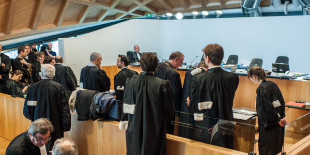 Broodfokker Hoeve Hoogland (Felicanis) veroordeeld door de correctionele rechtbank