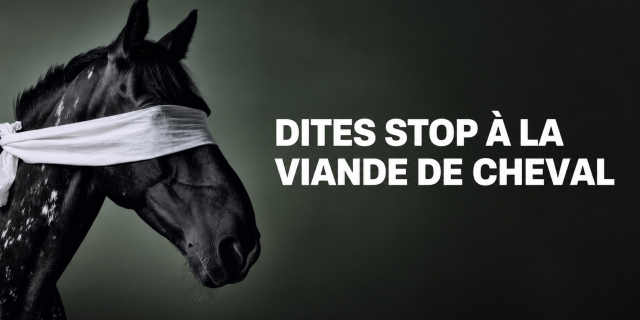 Viande de cheval