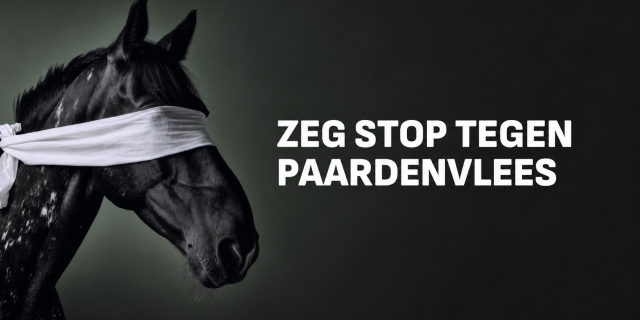 Paardenvlees