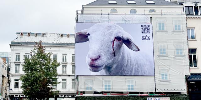 Slaughter without stunning