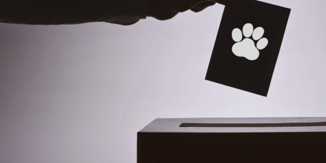 jevoteanimaux.be