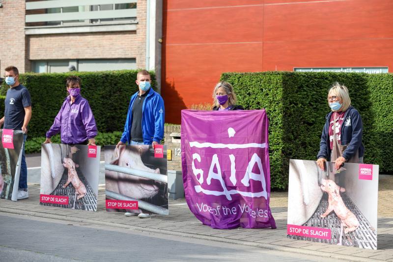 Gaia animal rights