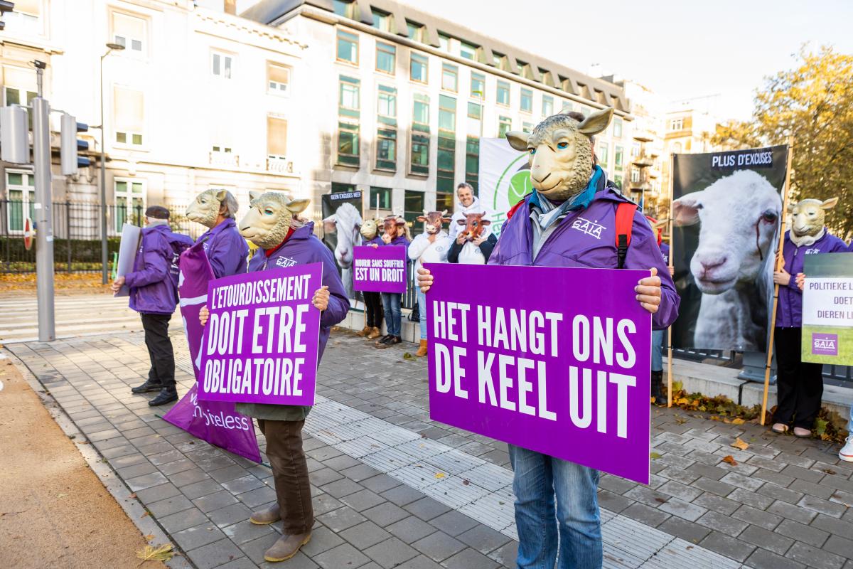 Bruxelles