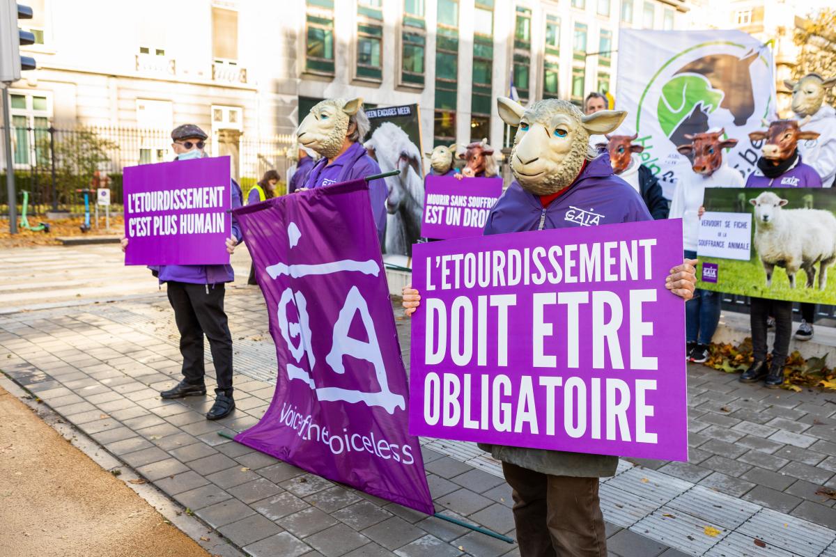 Bruxelles