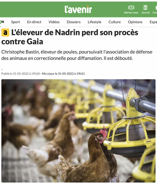 Poules