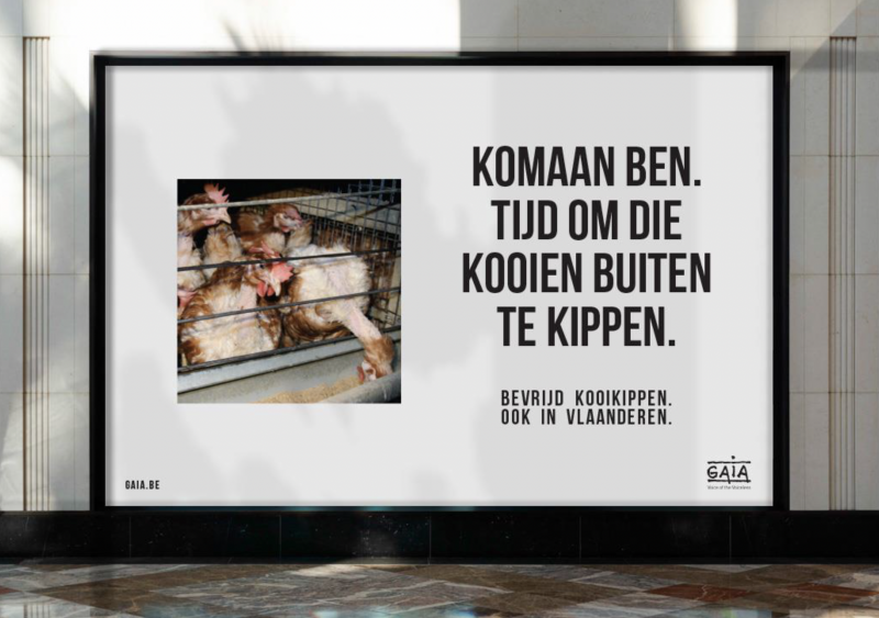 Kippenkooien