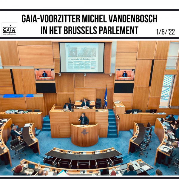 Brussels Parlement