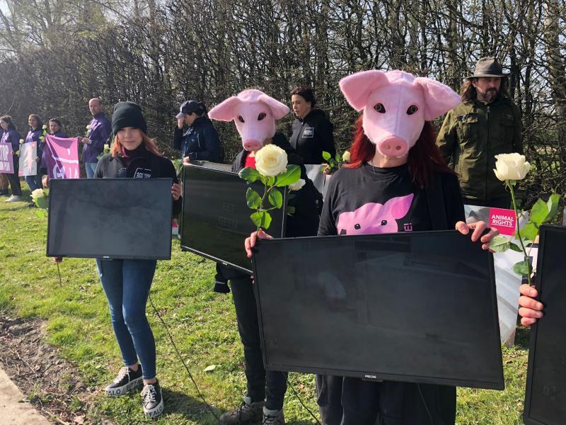 Actie Tielt