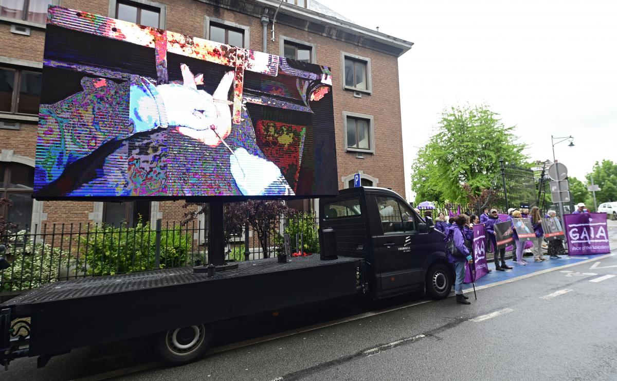 grand écran de projection