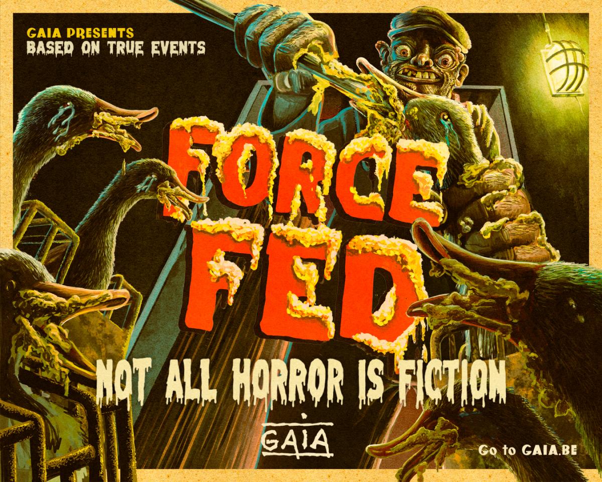 Force fed