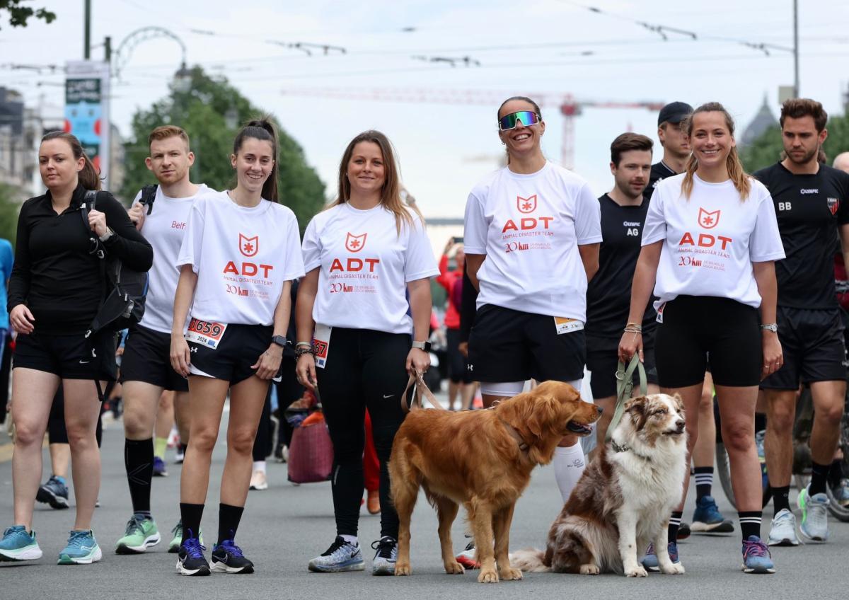 ADT team