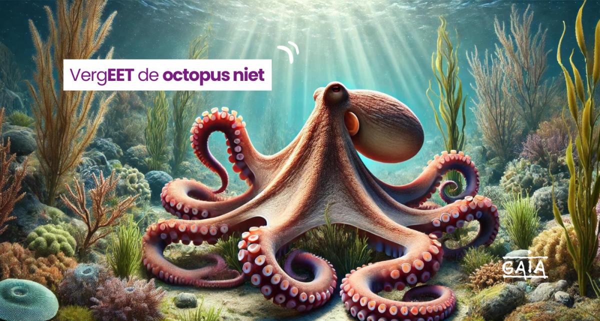 220.000 octopussen gevangen in België