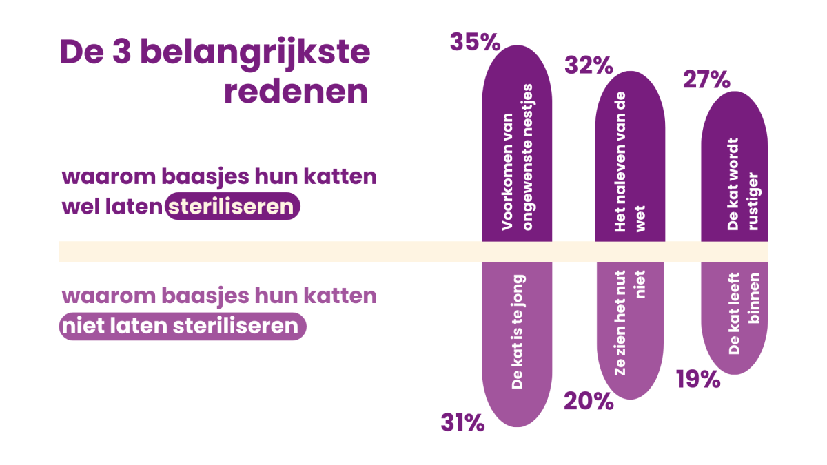 Katten - sterilization