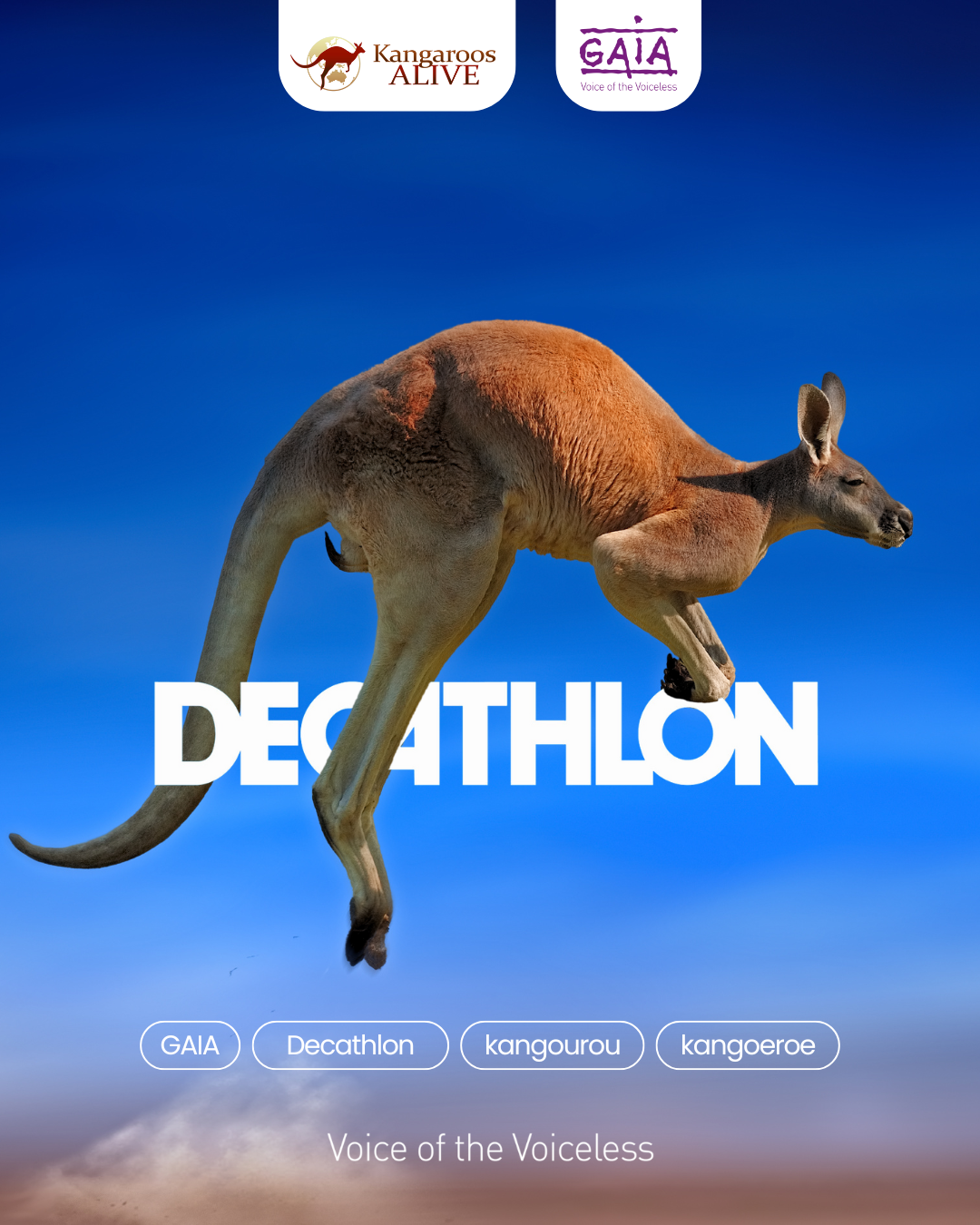 décathlon arrête les chaussures avec peau de kangourou 