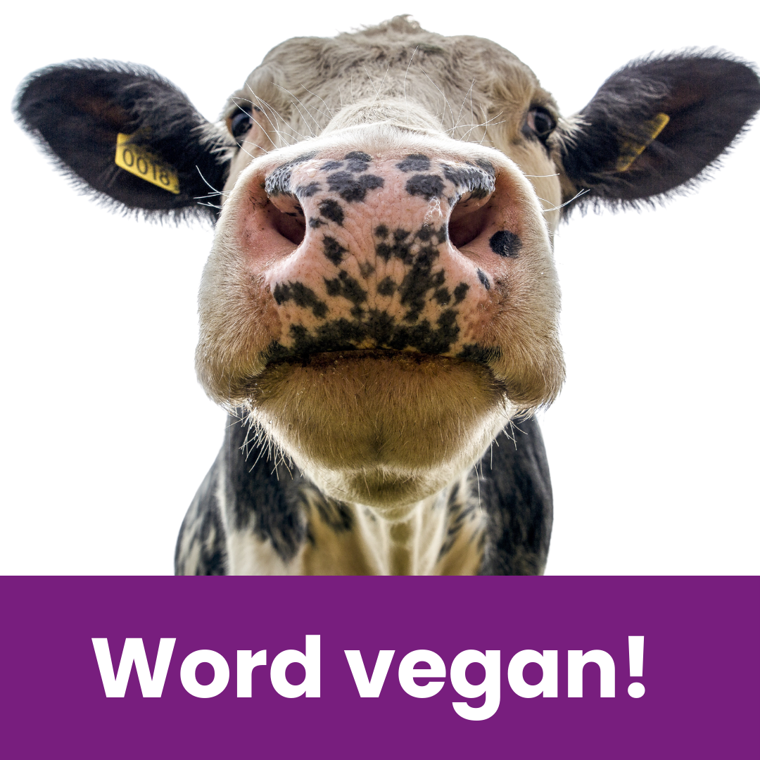 word vegan!