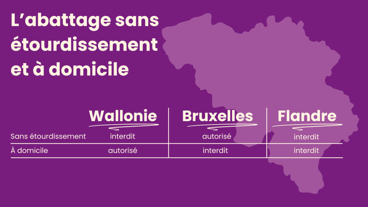 abattage sans étourdissement et à domicile en Belgique