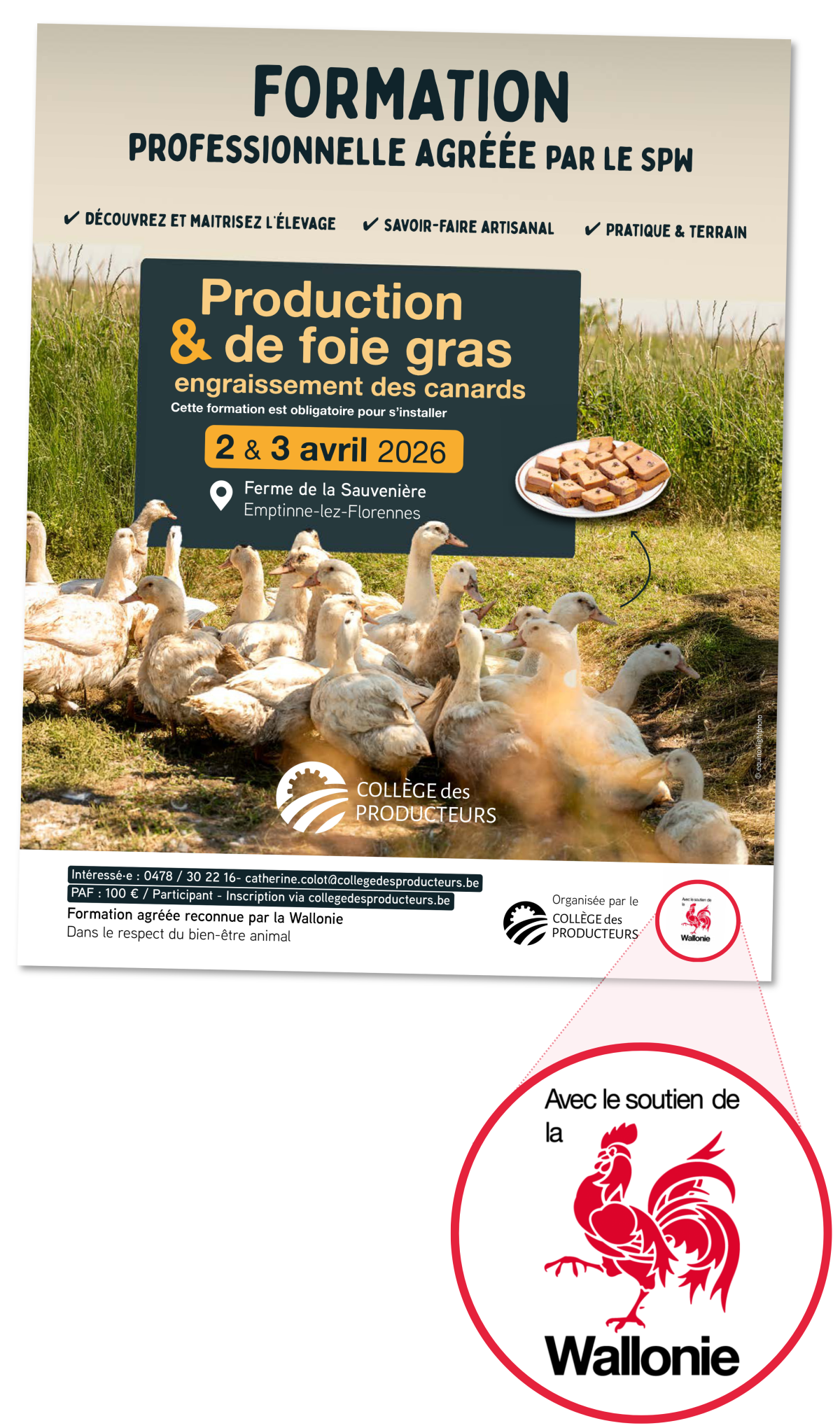 dfgt