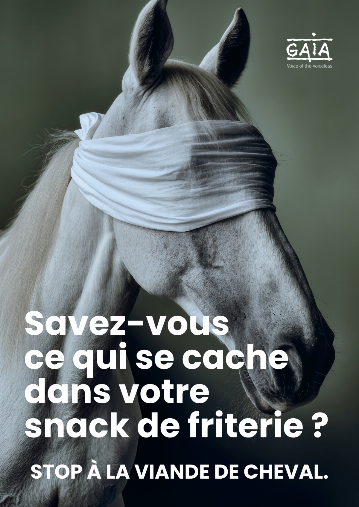 viande de cheval