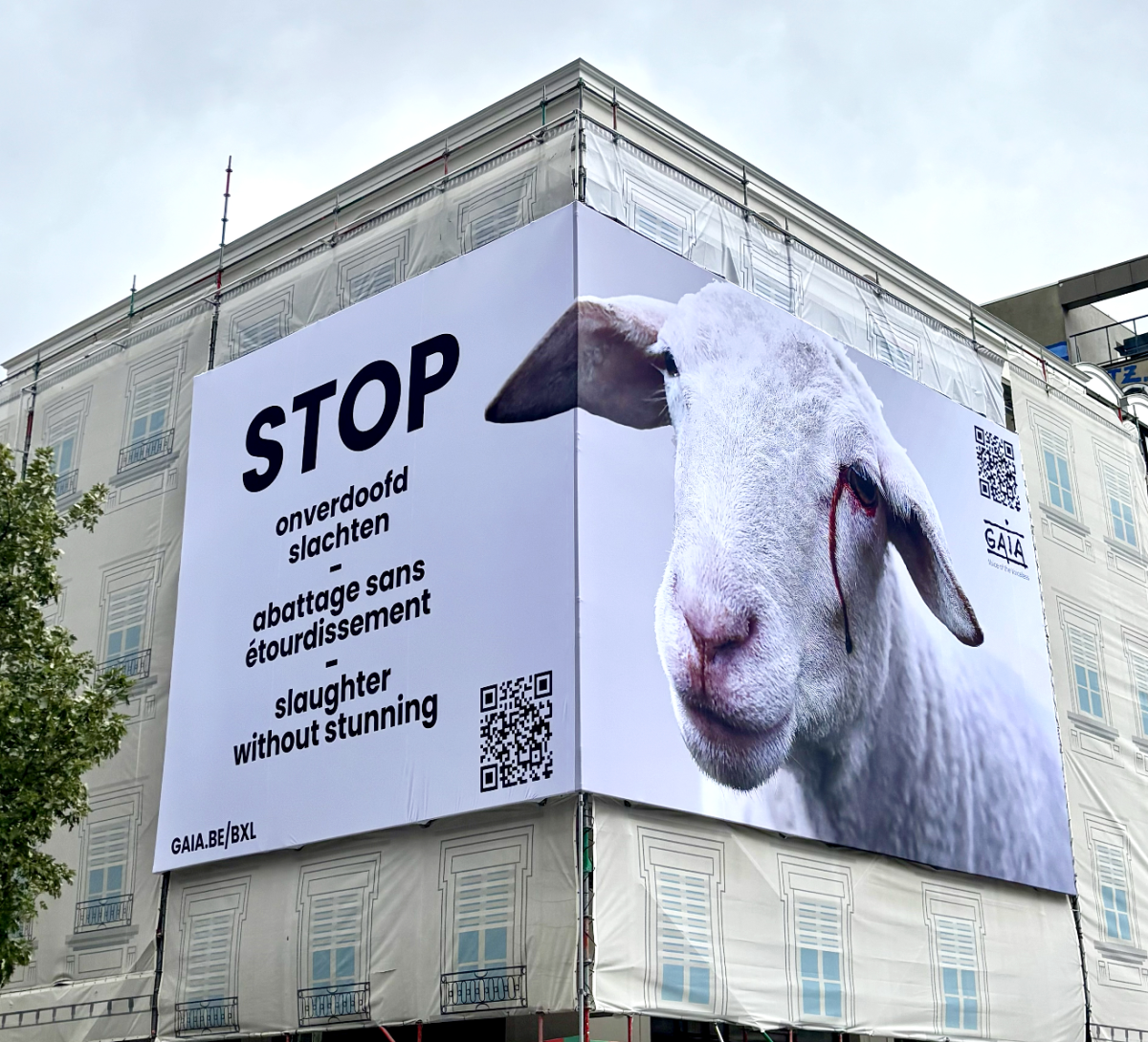 Slaughter without stunning