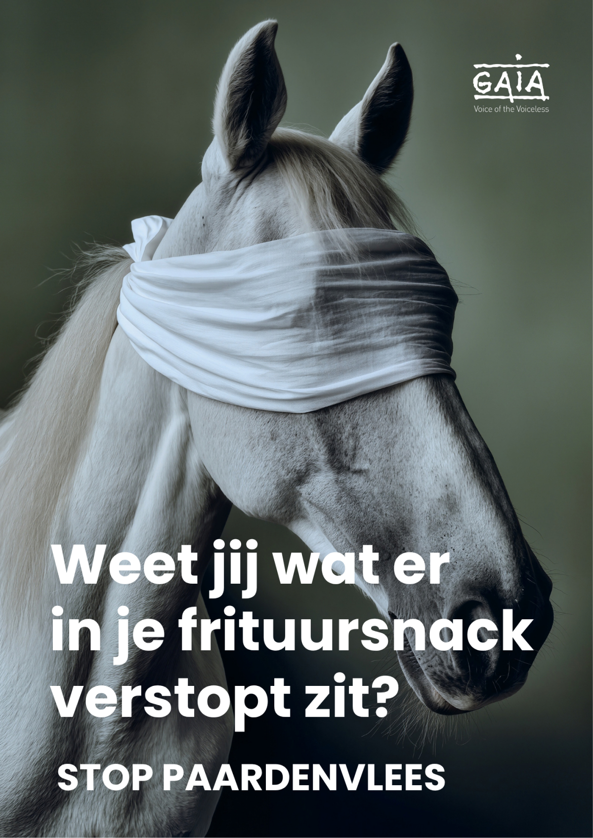 paardenvlees