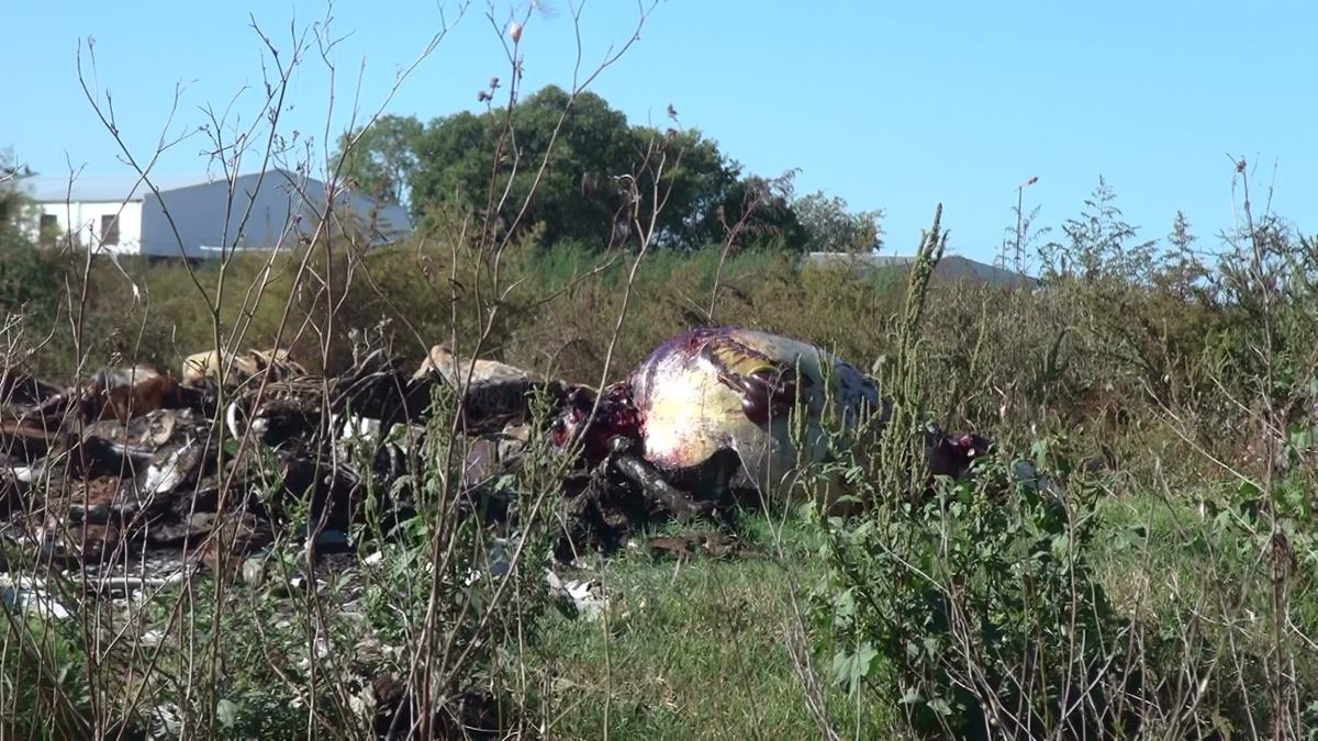 20150408_ar_sg_03_entre_rios_dead_horses_2_1.jpg