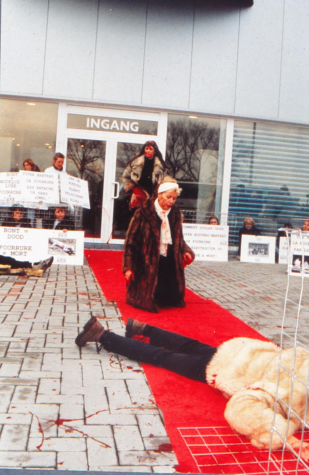 2_ingang_pelsland_actie_1.jpg