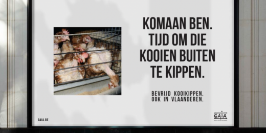 Kippenkooien