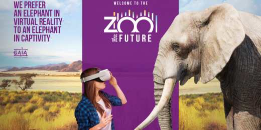 Virtual Zoo 